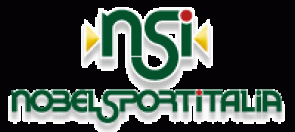 logo-NSI-completo