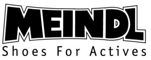 logo_MEINDL