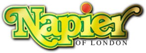 naplogo