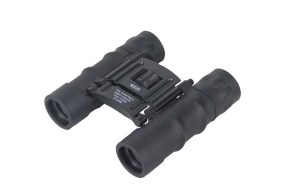 10x25-binoculars-3-9