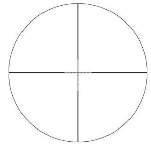 621