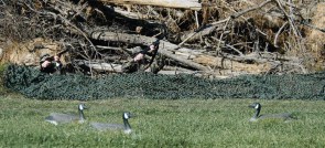 Products1986-00691-Basic-Netting-ducks-8585484683504459946-s0