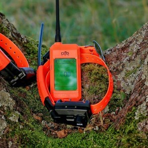 tracking-system-with-beeper-collar-and-training-module-dog-gps-x25tb__mi001-2516