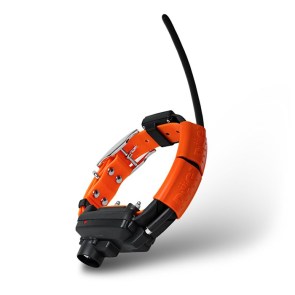 tracking-system-with-beeper-collar-and-training-module-dog-gps-x30tb__mi001-1328-1000x1000
